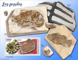 Chad 2022 Fossils, Mint NH, Nature - Prehistoric Animals - Prehistory - Other & Unclassified