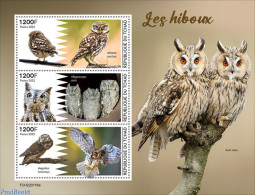 Chad 2022 Owls, Mint NH, Nature - Owls - Autres & Non Classés