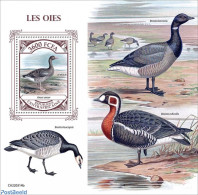 Central Africa 2022 Geese, Mint NH, Nature - Geese - Zentralafrik. Republik