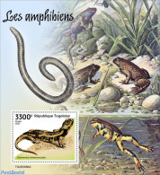 Togo 2022 Amphibians, Mint NH, Nature - Animals (others & Mixed) - Togo (1960-...)