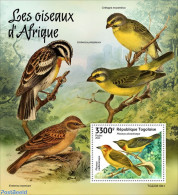 Togo 2022 African Birds, Mint NH, Nature - Birds - Togo (1960-...)