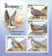 Togo 2022 BIRDPEX: Plains Wanderer And Seedsnipes , Mint NH, Nature - Birds - Togo (1960-...)