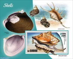 Sierra Leone 2022 Shells, Mint NH, Nature - Shells & Crustaceans - Mundo Aquatico
