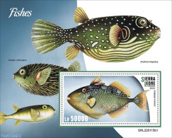 Sierra Leone 2022 Fishes, Mint NH, Nature - Fish - Peces