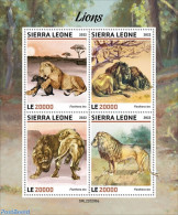 Sierra Leone 2022 Lions, Mint NH, Nature - Cat Family - Autres & Non Classés