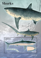 Liberia 2022 Sharks, Mint NH, Nature - Sharks - Other & Unclassified