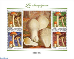 Niger 2022 Mushrooms, Mint NH, Nature - Mushrooms - Mushrooms