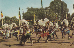 Le Mwami Du Ruanda A Organisé En L'honneur Du Roi Baudouin Une Grande Fête Folklorique - Belgian Congo