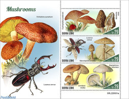 Sierra Leone 2022 Mushrooms, Mint NH, Nature - Insects - Mushrooms - Pilze