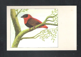 VOGEL - OISEAU - ORANJEWEVER   -  SLUIS N° 3  (13.594) - Vogels