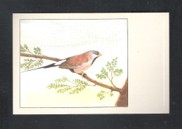 VOGEL - OISEAU - SPITSSTAARTAMANDINE -  SLUIS N° 29  (13.619) - Oiseaux