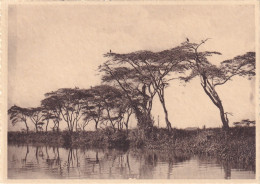 Parc National De L'Upemba Sur Les Bords De La Lufira Photo G F Le Blanc 3 745 - Belgisch-Kongo