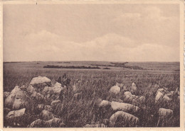 Lusinga La Grande Plaine Herbeuse Où Apparaissent Des Affleurements Rocheux Photo  GF Le Blanc 3 718 - Congo Belga