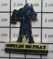 3417 Pin's Pins / Beau Et Rare / ANIMAUX / CHEVAL BLEU MOULIN DE PRAT ALLEYRAT CORREZE - Animals