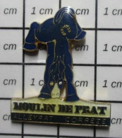 3417 Pin's Pins / Beau Et Rare / ANIMAUX / CHEVAL BLEU MOULIN DE PRAT ALLEYRAT CORREZE - Animali