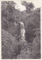 Kibga Versant Sud Du Volcan Visoke Rivière Suza Chutes Et Forêt De Bambous - Belgisch-Congo