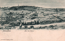 CPA - JÉRUSALEM - Mont Des Oliviers - Edition Dimitri Tarazi & Fils - Israël