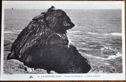 29 - LA GRANDE COTE - L'ours Polaire - Sonstige & Ohne Zuordnung