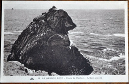 29 - LA GRANDE COTE - L'ours Polaire - Other & Unclassified