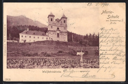 AK Maria Schutz /Niederösterreich, Wallfahrtskirche  - Sonstige & Ohne Zuordnung