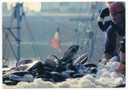 CPSM / CPM 10.5 X 15 Prestige BAIE D'ARCACHON Pêcheurs Poissons Dans La Glace - Aquitaine