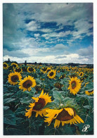 CPSM / CPM 10.5 X 15 Prestige Reflets De GASCOGNE Le Tournesol, Féérie De La Campagne Gersoise - Aquitaine