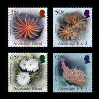 ASCENSION ISLAND 2024 FAUNA Animals. Deep Sea Life CORALS - Fine Set MNH - Ascension