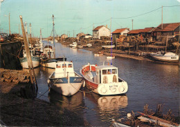 Navigation Sailing Vessels & Boats Themed Postcard La Tremblade Charente Maritime - Velieri