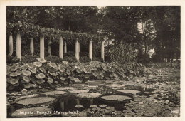 LIEGNITZ / PERGOLA (palmenhain) - Poland