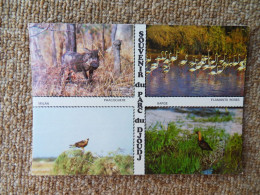 KB10/1390-Sénégal Multivues Souvenir Du Parc Du Djoudj Animaux - Senegal