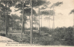 ARCACHON : UN COIN DE LA FORET AU TIR AUX PIGEONS - Arcachon