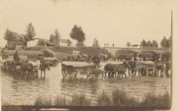 Real Photo Abreuvoir Chevaux Attelés . Militaire . Format 7/11 Non Carte Postale - Horses