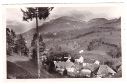 LESCHERAINES - Le Pont (carte Photo) - Other & Unclassified