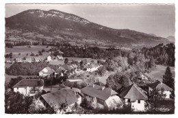 LESCHERAINES - Le Pont (carte Photo) - Andere & Zonder Classificatie