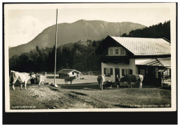 AK Partnach-Alm Mit Kühen, Olympia-Werbe-O Garmisch-Partenkirchen 18.6.1937 - Autres & Non Classés