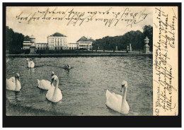 Tiere-AK München Nymphenburg Teich Mit Schwänen, 7.10.1904 Nach SCHWABACH 8.10. - Vögel