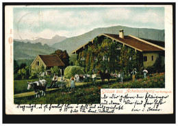 Landpost-Stempel Posthilfstelle Schwaiganger Taxe Murnau 16.7.1904 Auf AK - Storia Postale