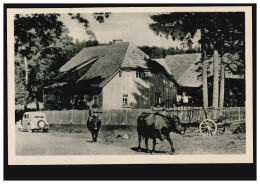 AK Forsthaus Birkenmoor über Ilfeld / Nordhausen Mit Kühen, Ungebraucht DDR-1956 - Andere & Zonder Classificatie