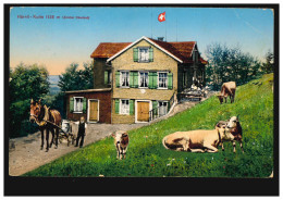 Schweiz AK Hörnli-Kulm 1135 M (Zürcher Oberland), STEG (ZÜRICH) 8.8.1921 - Otros & Sin Clasificación
