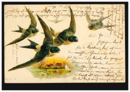 Tiere-AK Vögel: Schwalben über Landschaft, PLAUEN 25.2.1904 Nach BERLIN 26.2.04 - Vögel