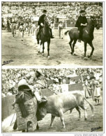 Corrida. 2 Cartes Paseillo Y Un Buen Puyazo. - Corrida