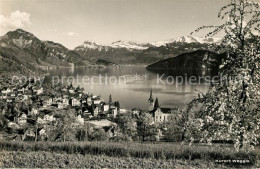 13193011 Weggis Vierwaldstaettersee Panorama Alpen Weggis Vierwaldstaettersee - Otros & Sin Clasificación