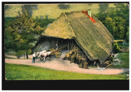 Landwirtschaft-AK Gutshof Im Kammbachtal Ochsengespann, RÜSTRINGEN 15.10.1911 - Autres & Non Classés