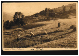 Sillacker Wasen Bei Metzeral - Landwirtschaft: Bei Der Ernte, Gelaufen 13.7.1907 - Autres & Non Classés