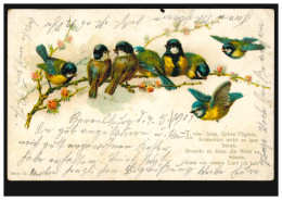 Tiere-AK Vögel: Blaumeisen-Ansammlung, RAVENSBURG BAHNHOF 7.8.1901 - Pájaros