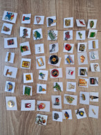 Collection Pins - Loten