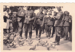Photo Originale - 1941 - Guerre 1939/45 - PARIS Sous L'occupation Allemande - Les Pigeons Au Jardins Des Tuileries - Krieg, Militär