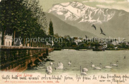 13191893 Lac Leman Genfersee Panorama Lac Leman Genfersee - Sonstige & Ohne Zuordnung