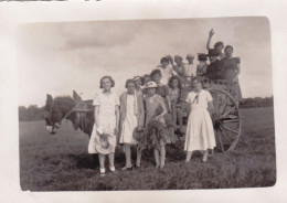 Photo Originale  - Septembre 1936 - SAINT VIATRE ( Loir Et Cher ) Balade En Charette Et Son Ane - Lugares