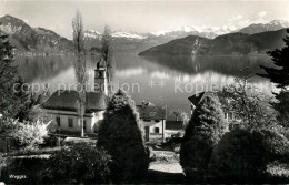 13191811 Weggis Vierwaldstaettersee Kirche Seepanorama Weggis Vierwaldstaetterse - Andere & Zonder Classificatie